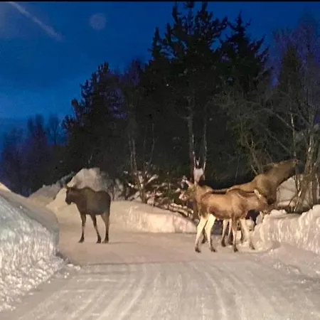 شقة Casa ترومسو